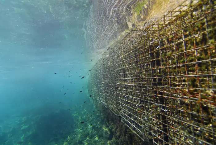 img-padding Ecocean © Remy Dubas