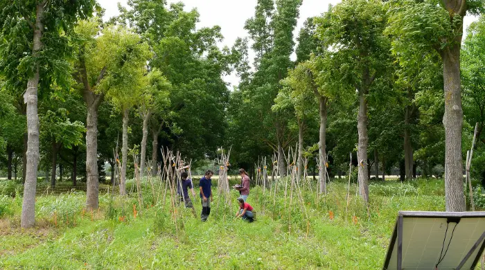 Agroforesterie : la Scop Agroof prend la coordination du site des Terres de Roumassouze (30) 1 - Les indiscretions Agroforesterie Vézénobres