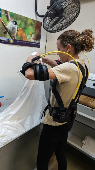 Hapo va distribuer ses exosquelettes en chirurgie esthétique aux États-Unis 4 - Les indiscretions HAPO FRONT blanchisserie5 - Les indiscretions