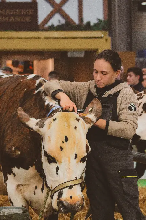Production locale, taxe Trump, jeunes agriculteurs... : en direct du SIA 2025 1 - Les indiscretions IMG 8669 - Les indiscretions