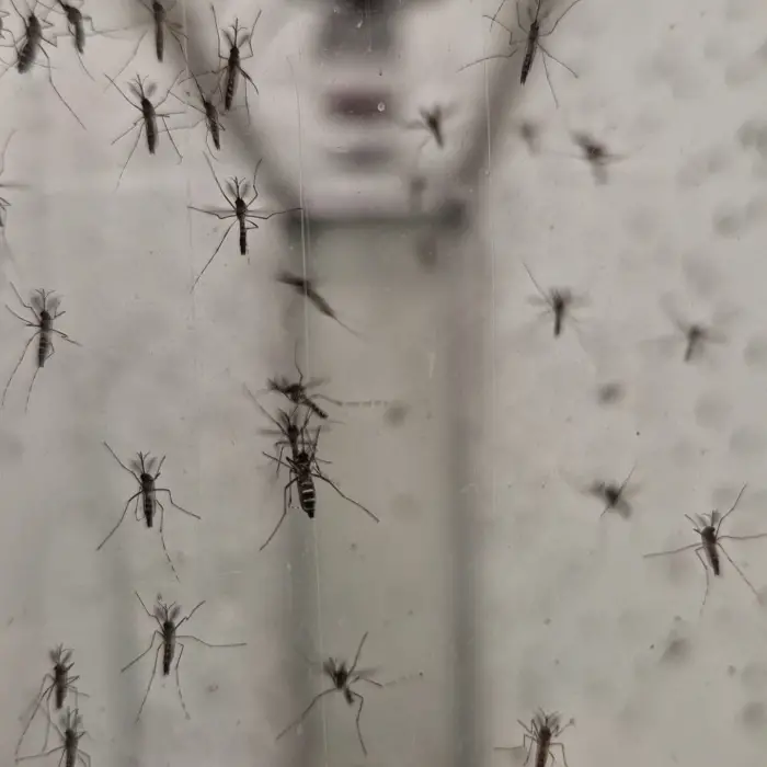 Lutte anti-moustique : Terratis lève 1,5 M€ 1 - Les indiscretions Visuels Terratis.Webp - Les indiscretions